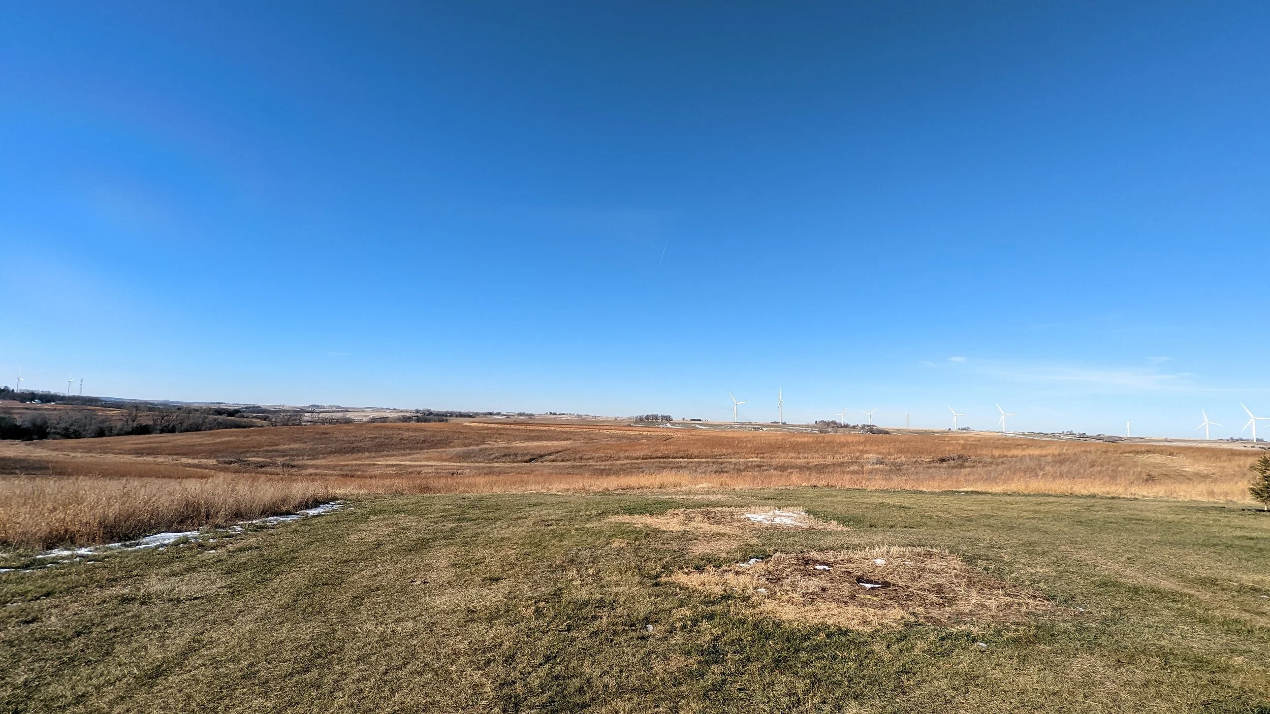 66459 750th St. Massena, Iowa 50853 Acreage — Wayne Hansen Real Estate