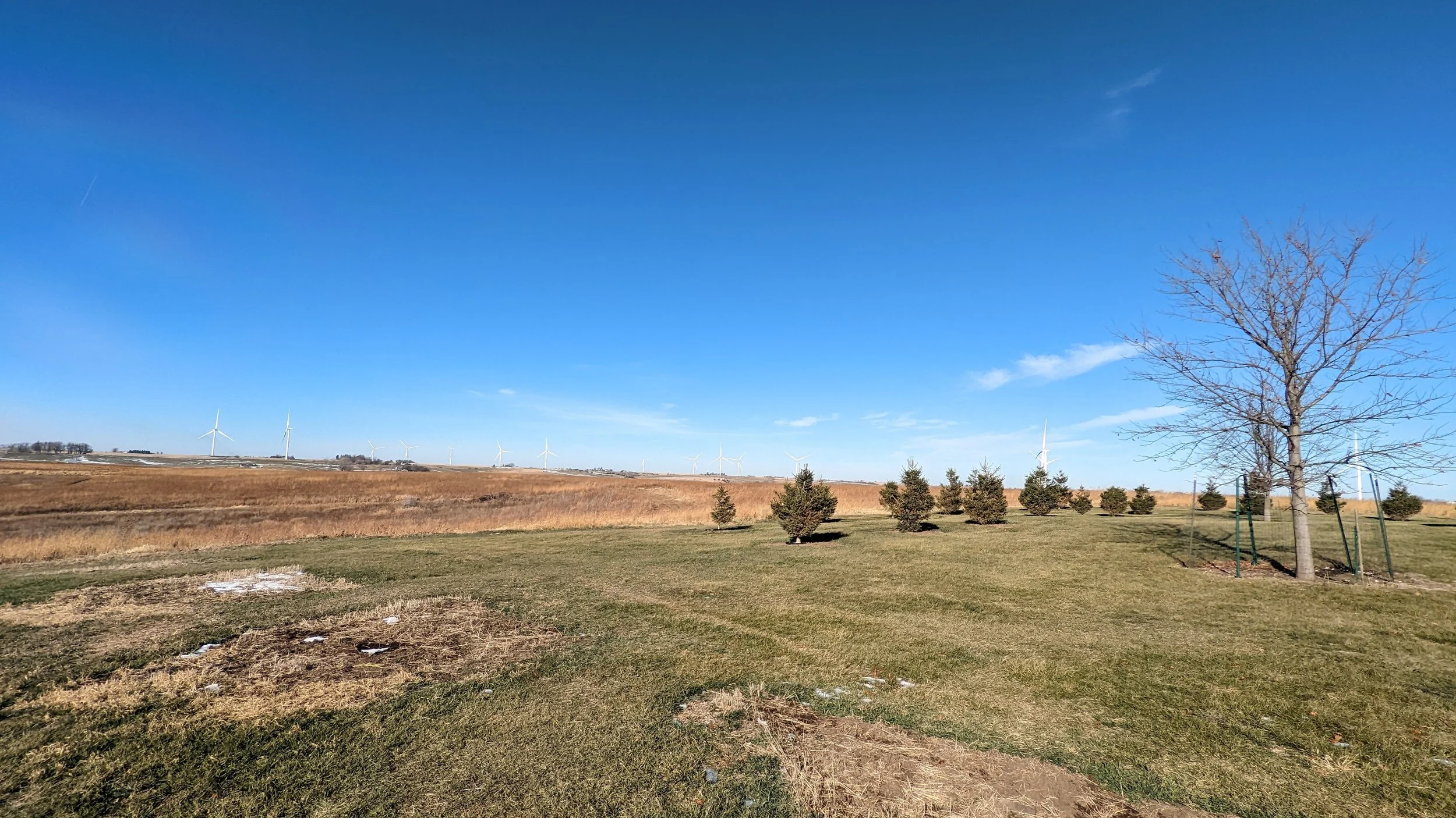 66459 750th St. Massena, Iowa 50853 Acreage — Wayne Hansen Real Estate