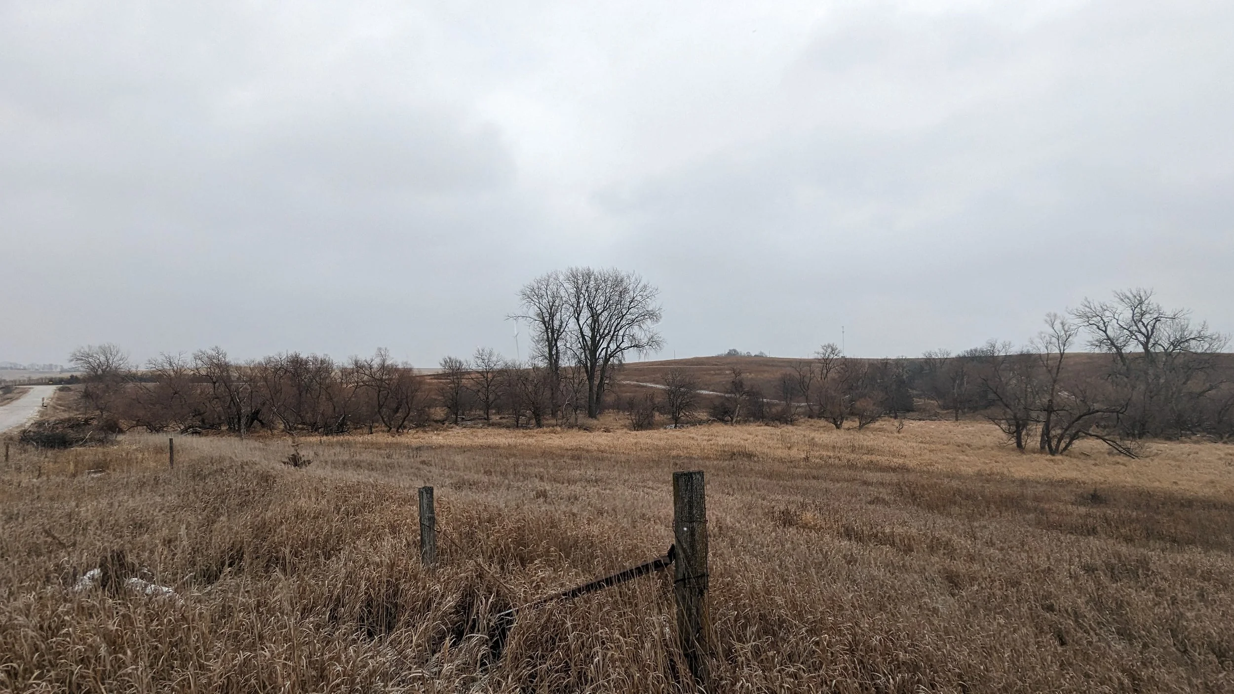 66459 750th St. Massena, Iowa 50853 Additional Lots — Wayne Hansen