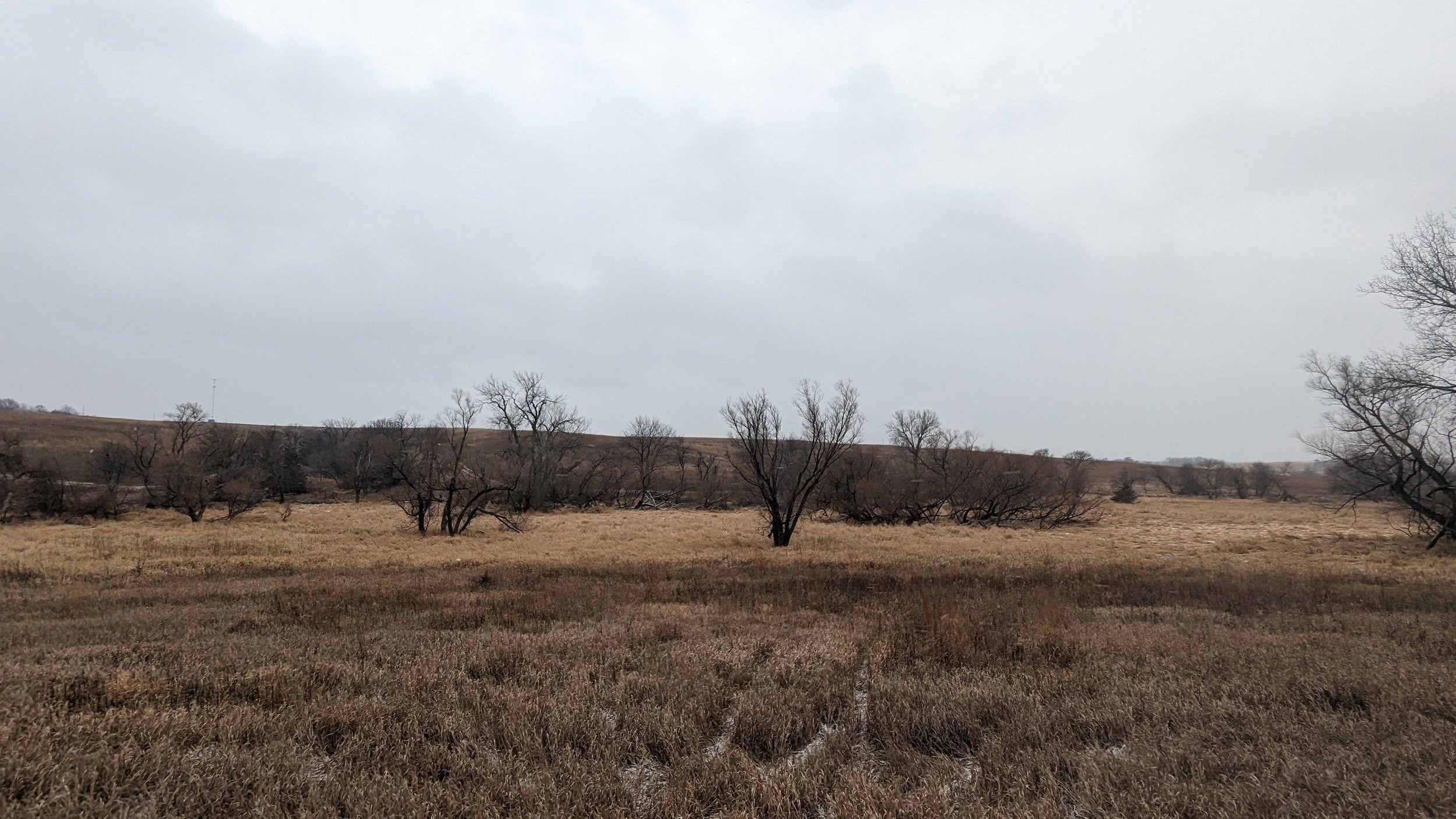 66459 750th St. Massena, Iowa 50853 Additional Lots — Wayne Hansen