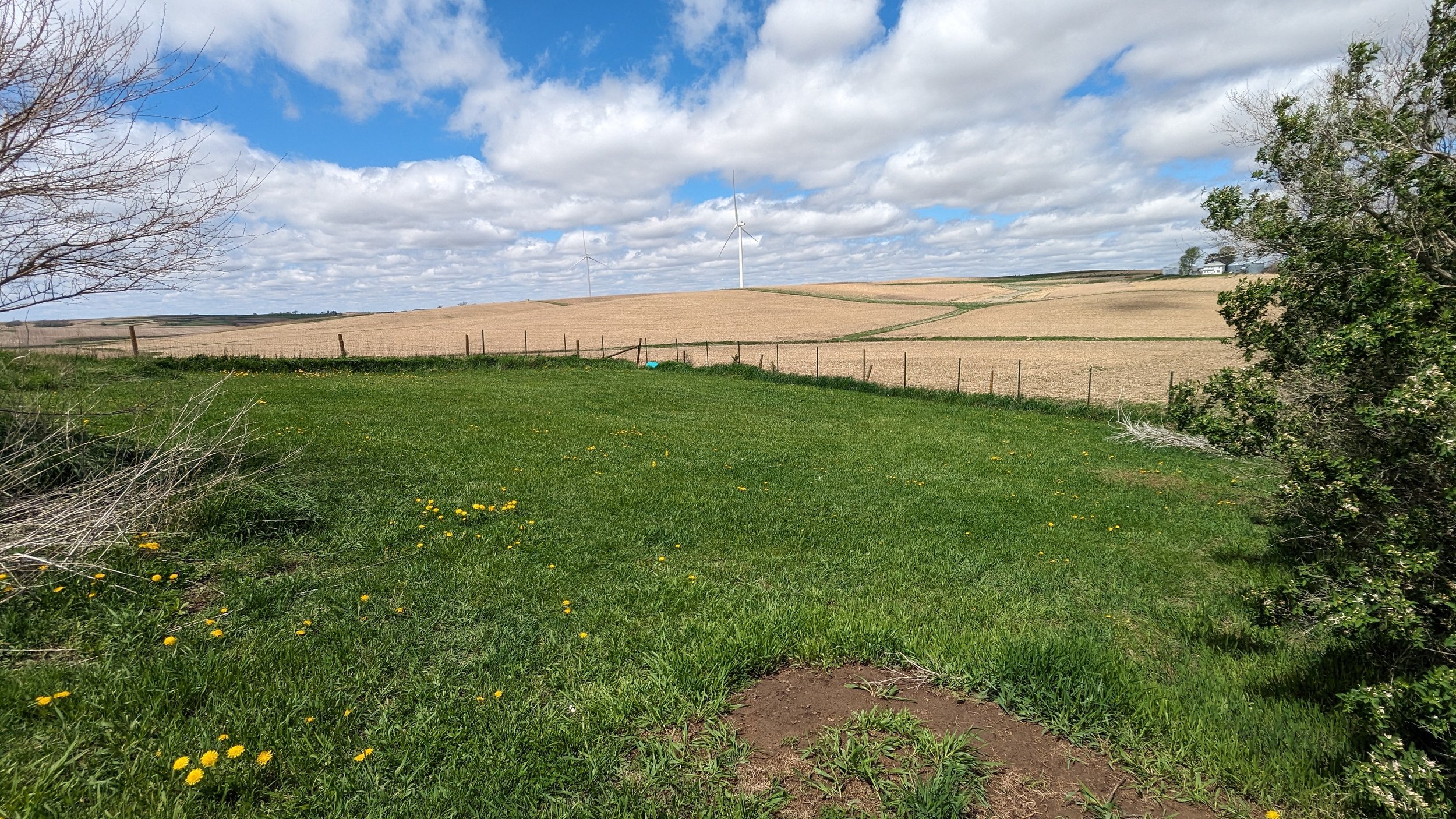 2953 Thrush Ave. Exira, IA 50076 — Wayne Hansen Real Estate