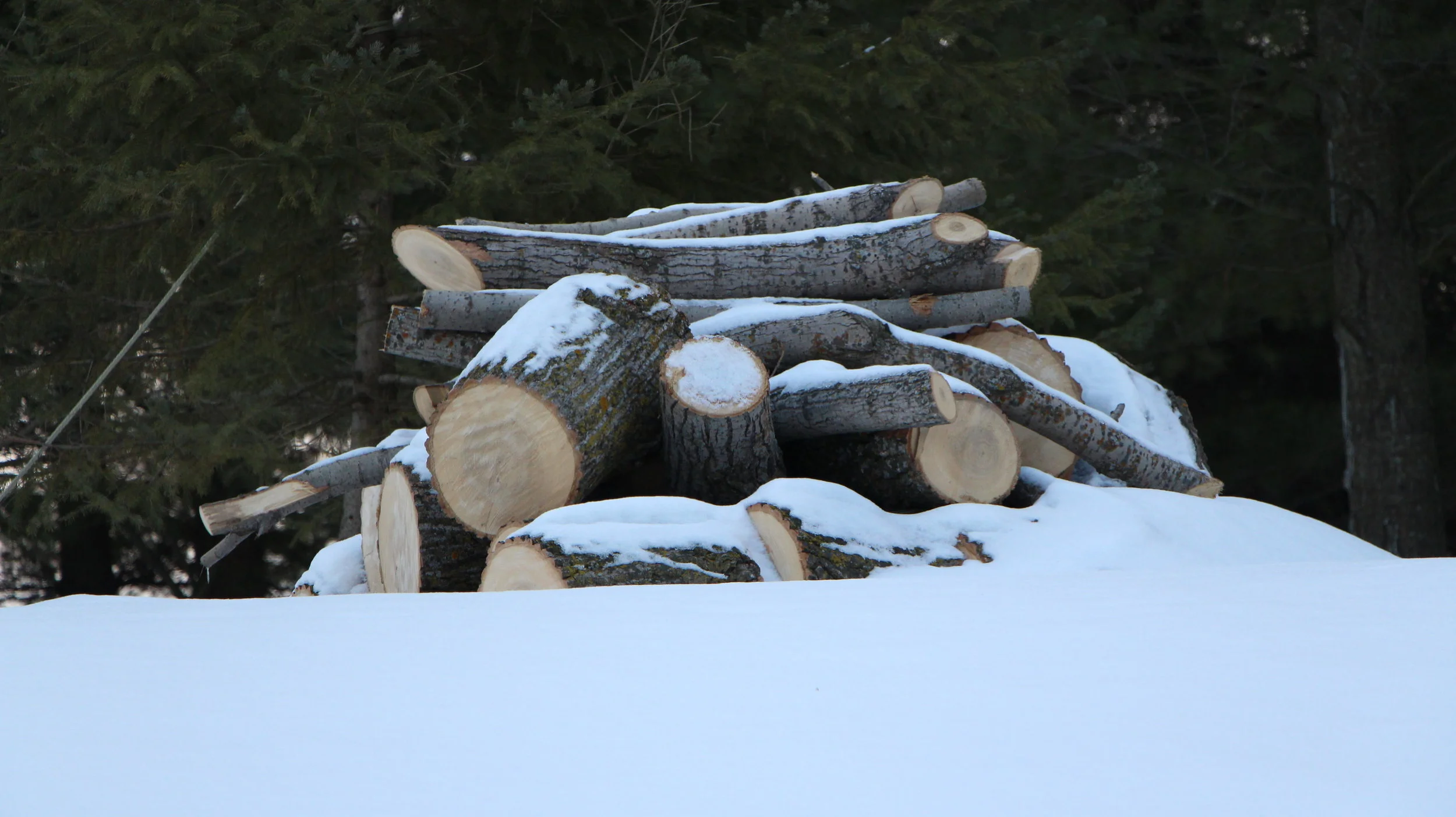 snowlumber.JPG