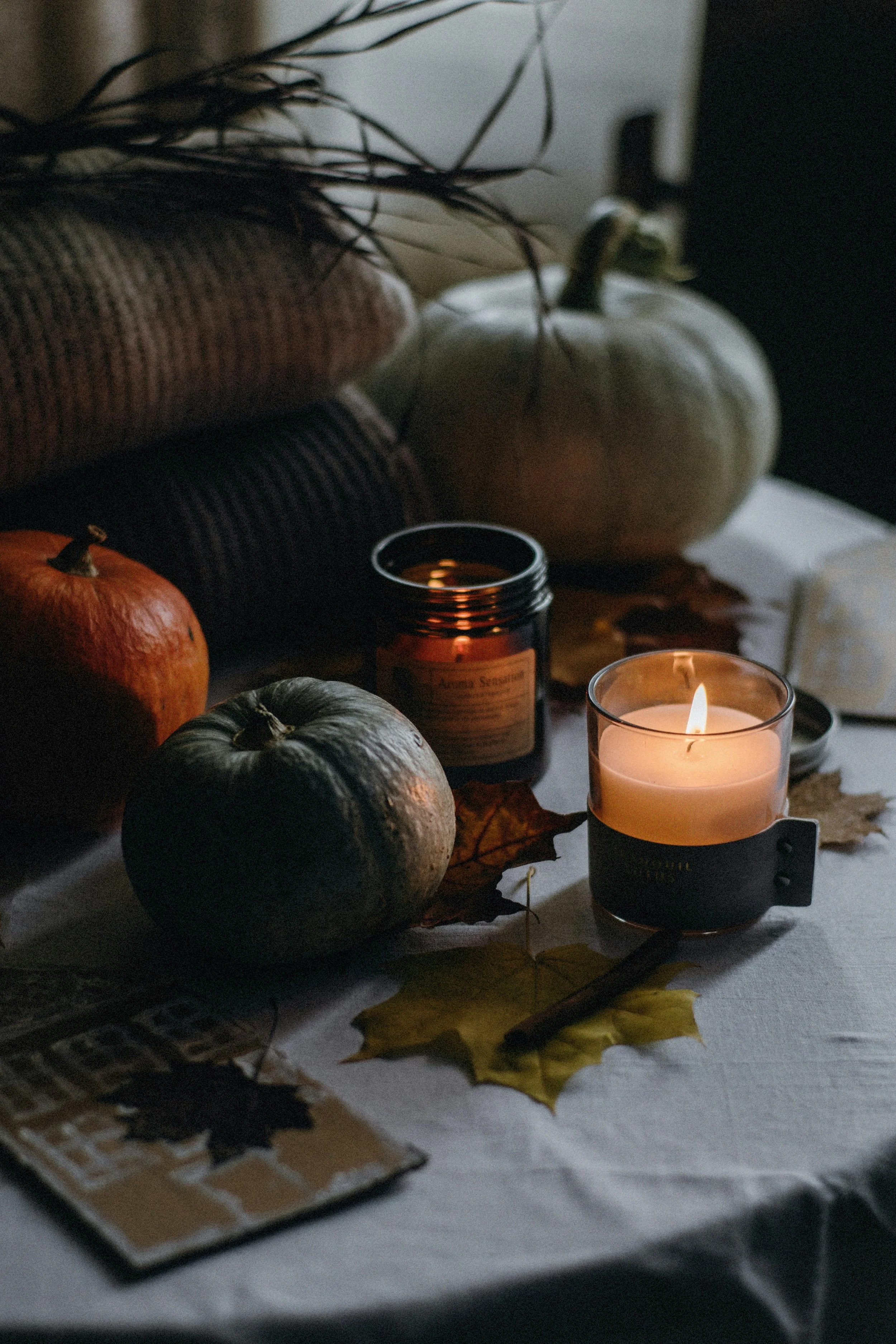 Shifting Into Fall: A Beautiful Seasonal Reset