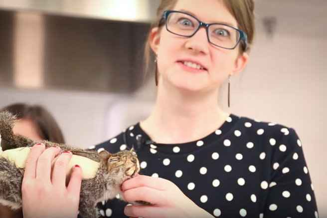 How could you not love this person? This awesome moment is from How to Taxidermy a Squirrel .