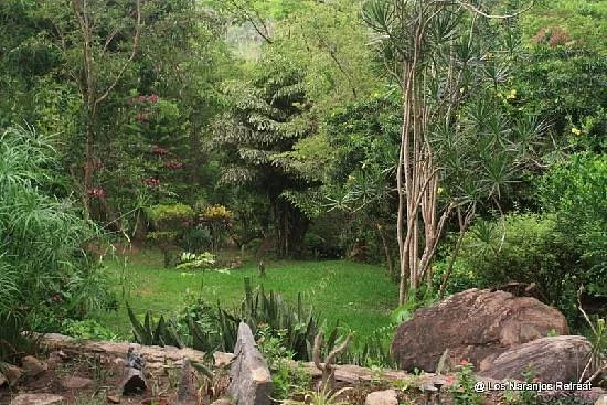 addiction recovery yoga retreat puerto vallarta