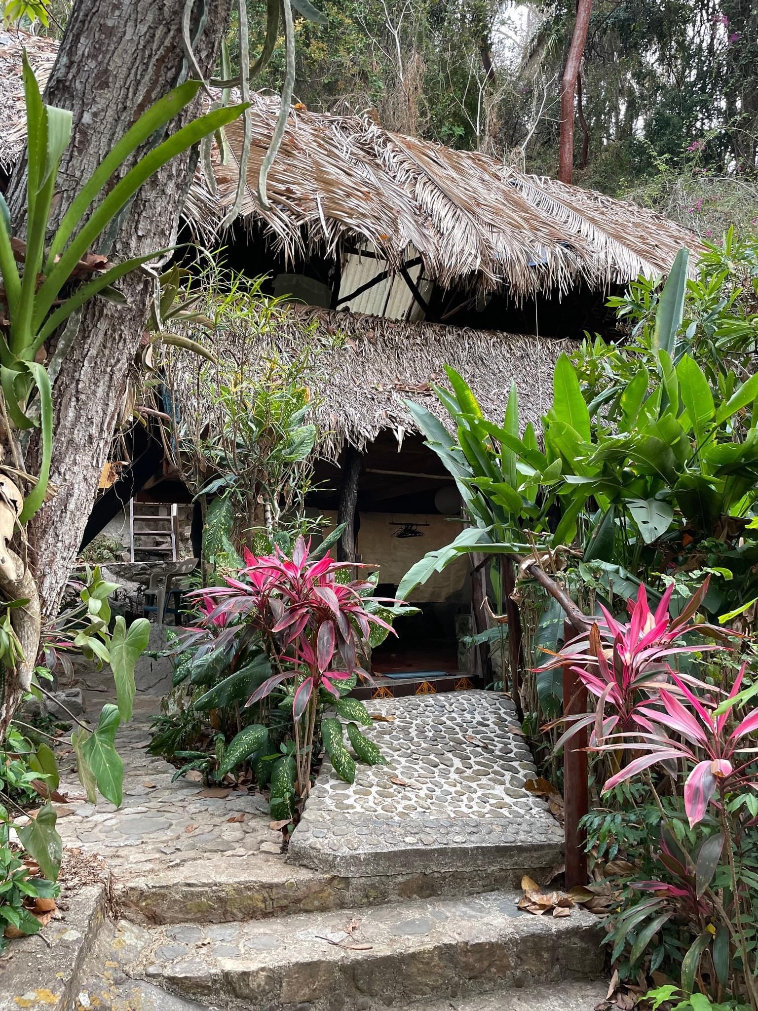 yoga and meditation wellness retreat near puerto vallarta (Copy)