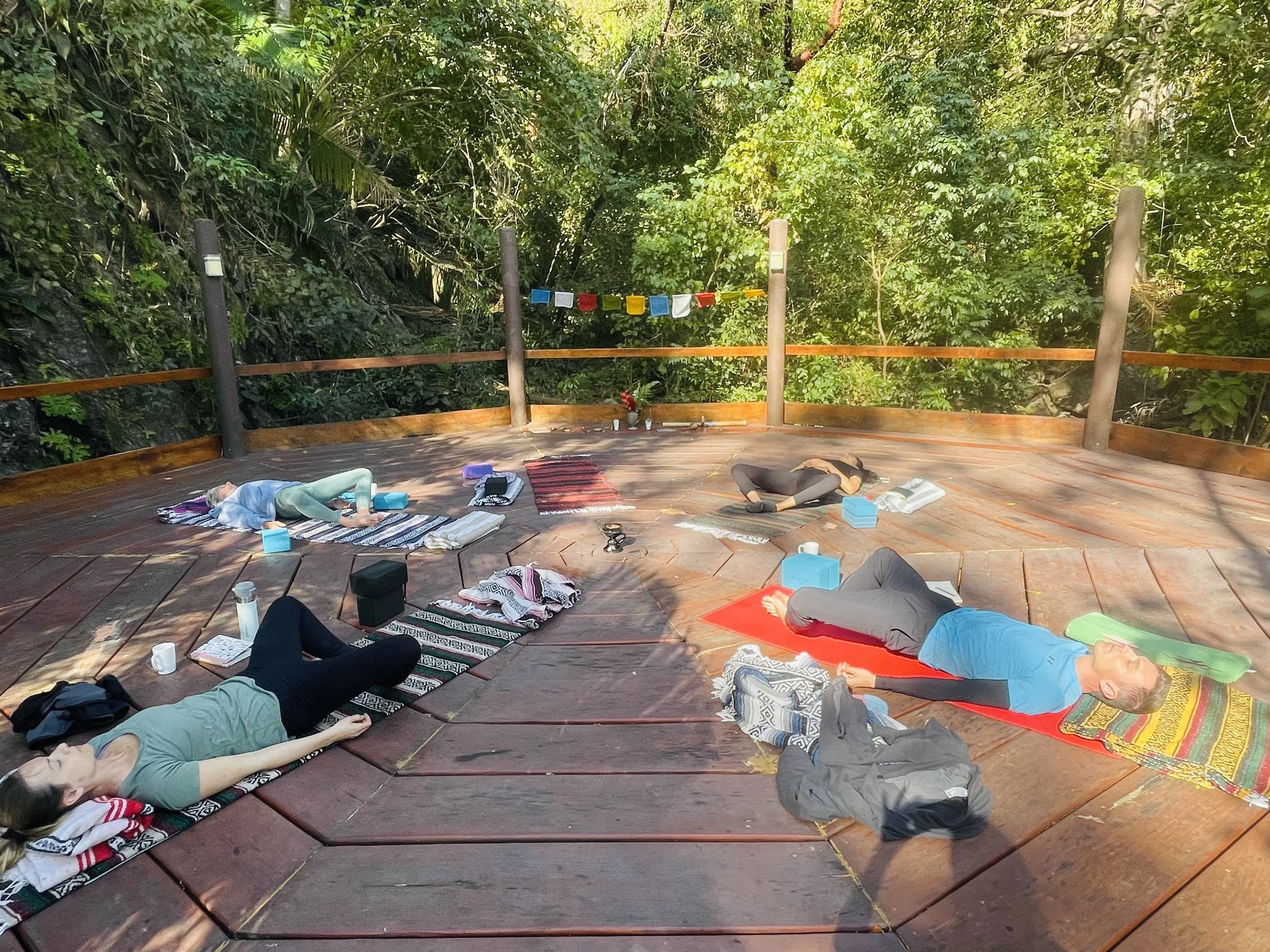 Resetting the Nervous System: The Power of Somatic-Based Practices at Wellness Retreats