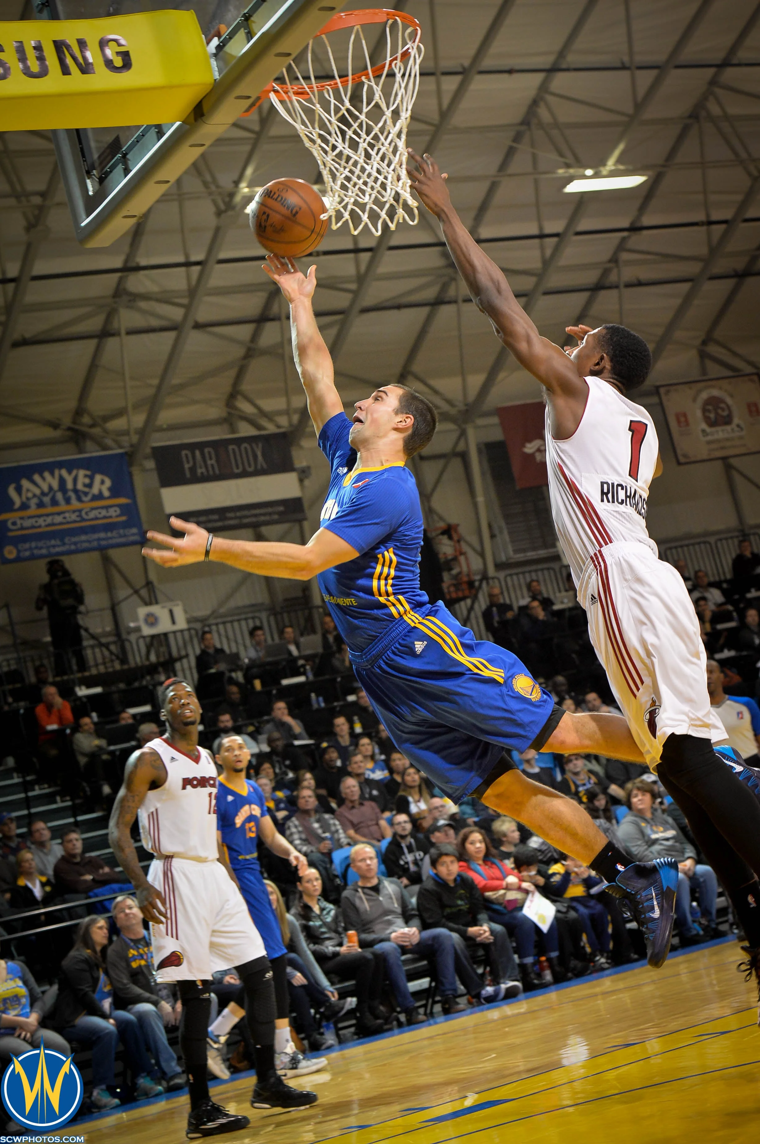 Aaron Craft with the layup at NBA D-League Showcase 2016 Day 4 Sioux Falls Skyforce vs the Santa Cruz Warriors game on 01/09/16 at Kaiser Permanente Arena in Santa Cruz, California. (Photo: Phil Pasag /SC Warriors 2016)