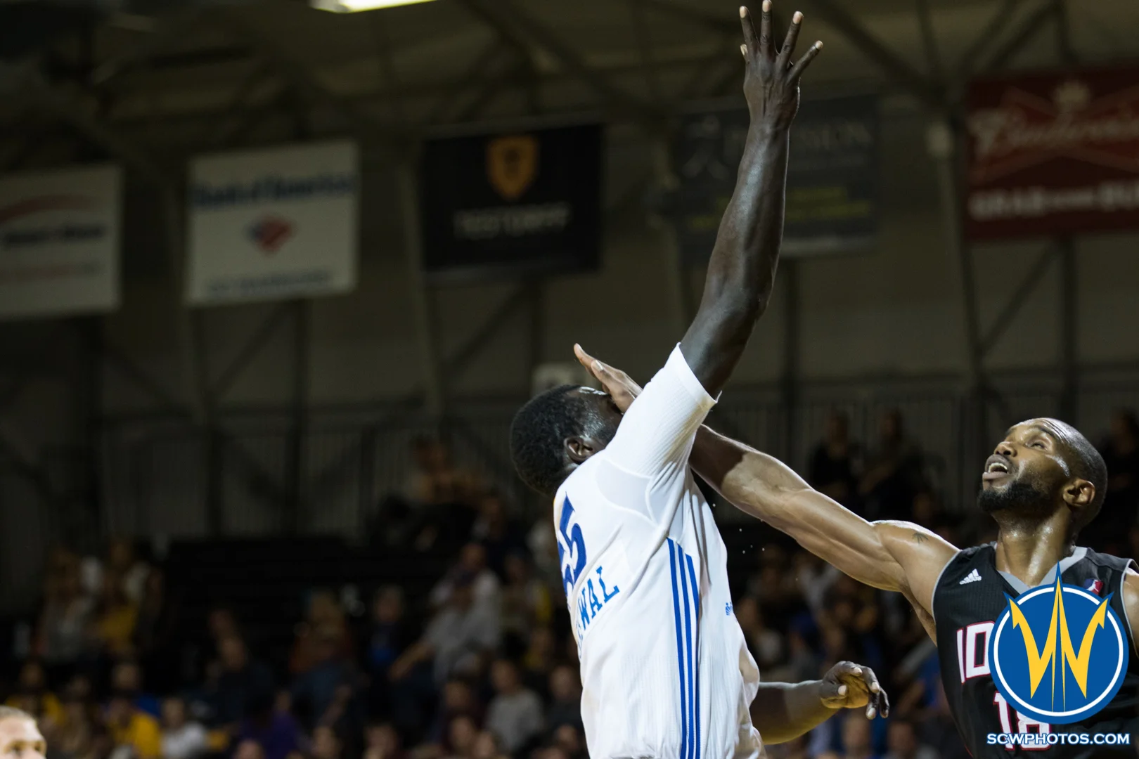 Mac Koshwal gets hit in the face by his defender while shooting at Kaiser Permanente Arena on January 20, 2016 (Photo: Ariel Nava Photography)