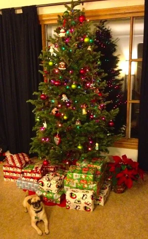 A Pug Christmas Story