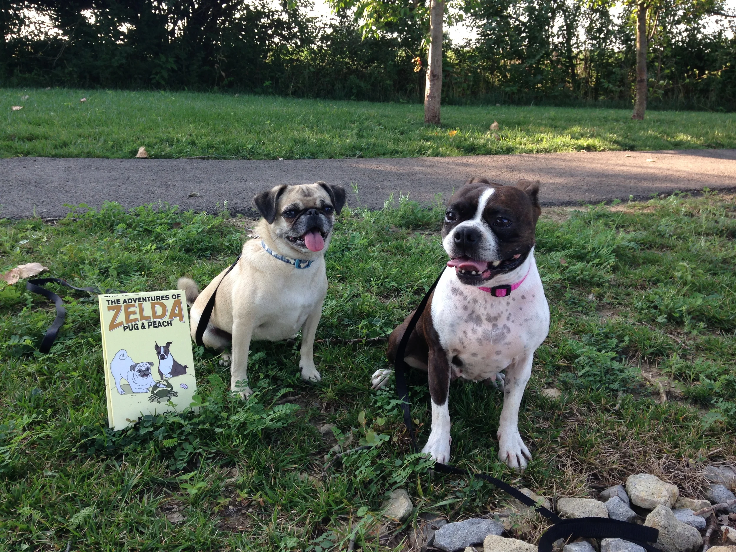 The Adventures of Zelda: Pug and Peach