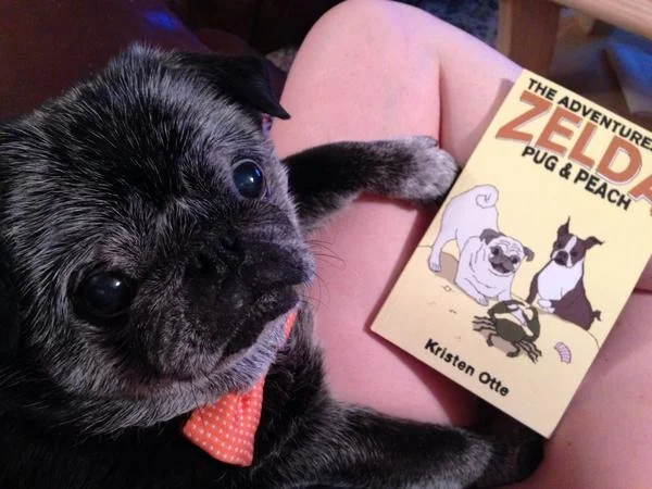 What's Next? (And a Zelda Launch Debrief)