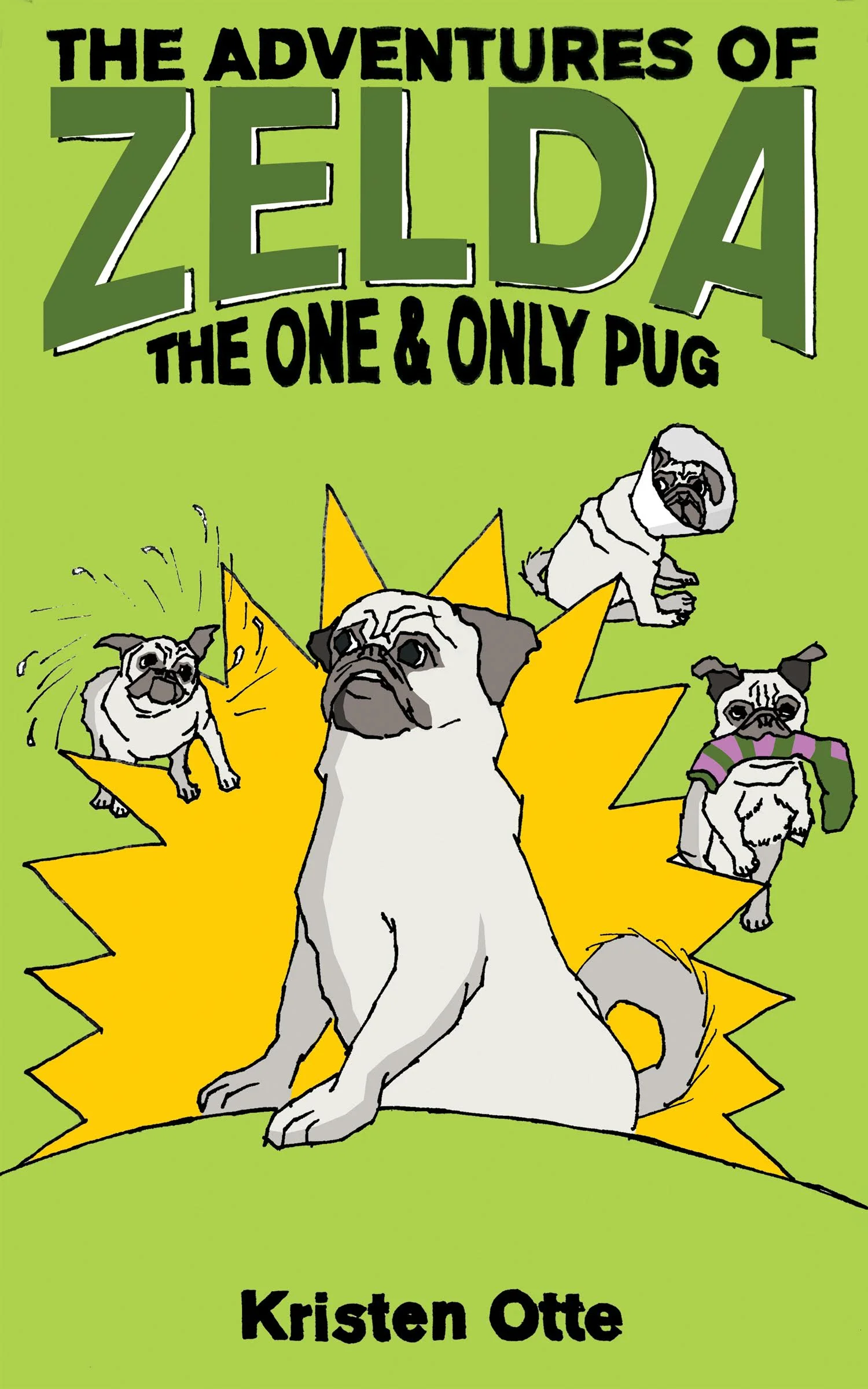 Z5 Front Cover.jpg