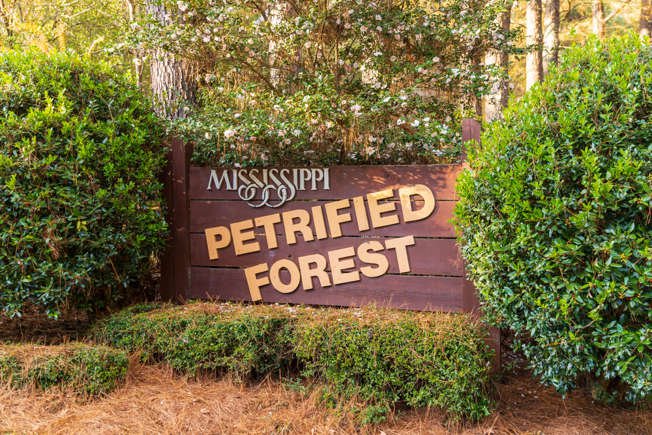Men’s Fellowship Trip: Mississippi Petrified Forest