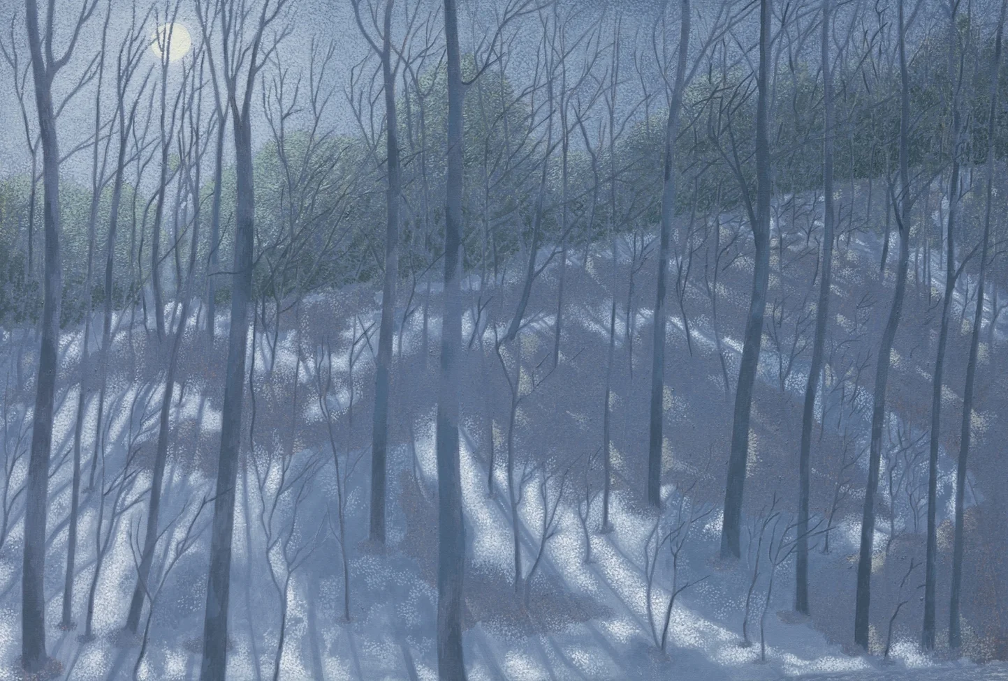 Moon, Mud, Shadows and Snow