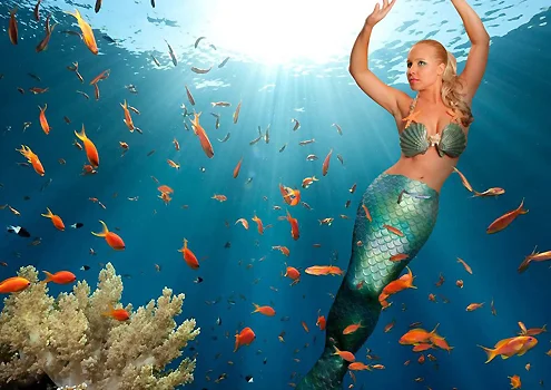 Melissa Mermaid
