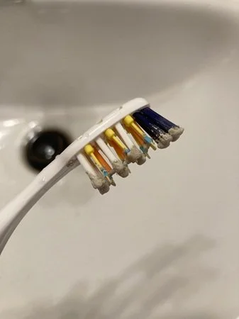 tooth powder on brush.jpg