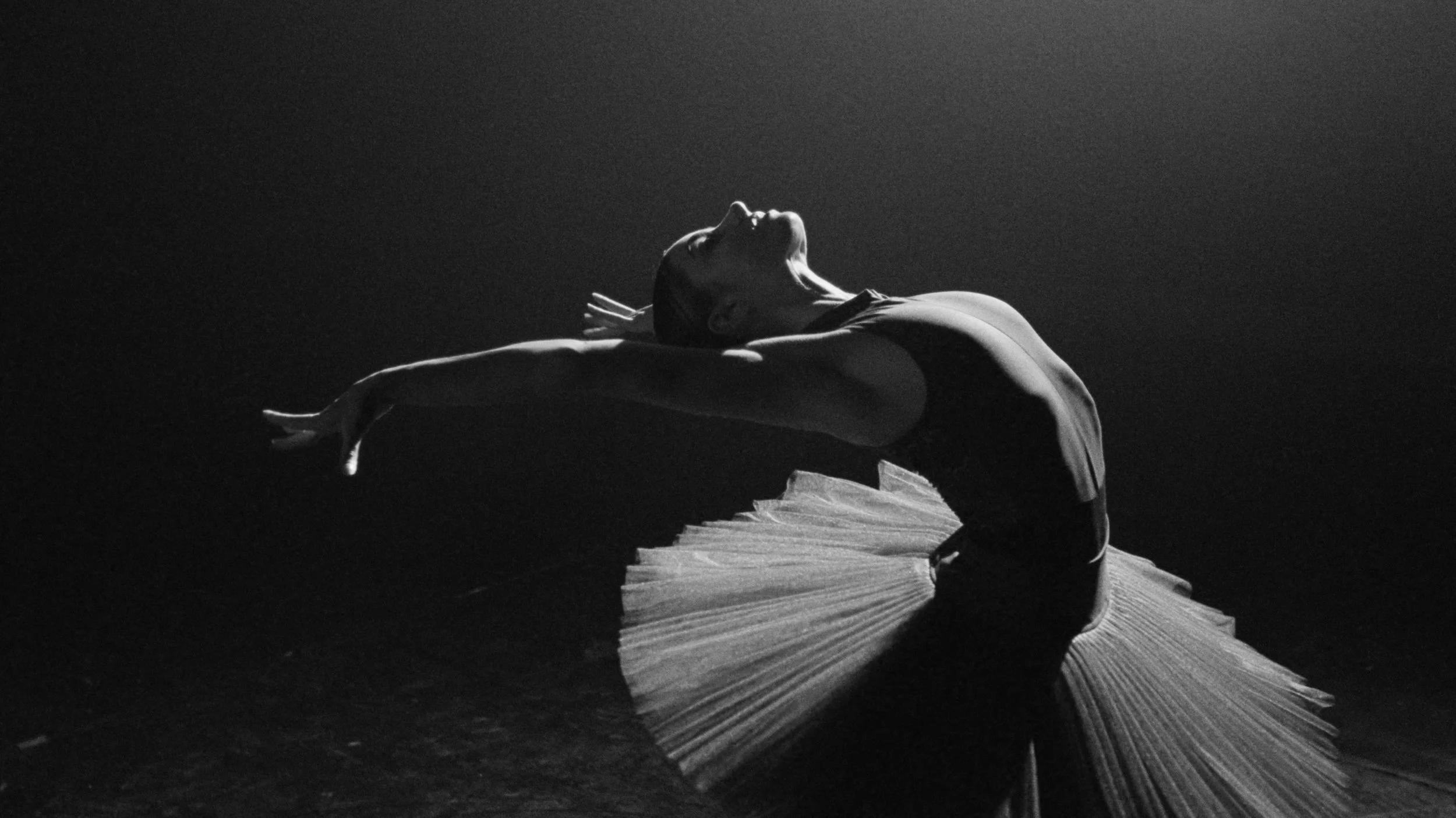 Telstra_Ballet_Hero_ONLINE_169_V1.00_00_26_17.Still007.jpg