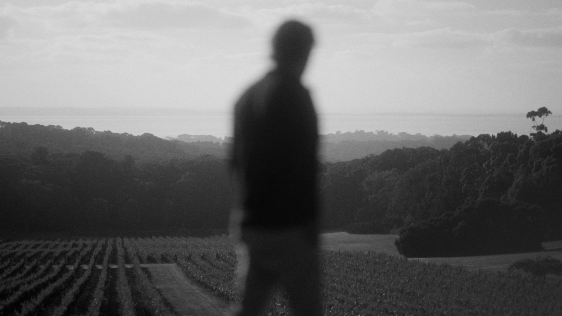 Polperro Slow Edit.00_00_16_02.Still001.png