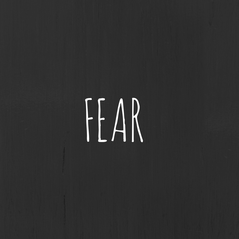 Fear: A Leader's User Guide