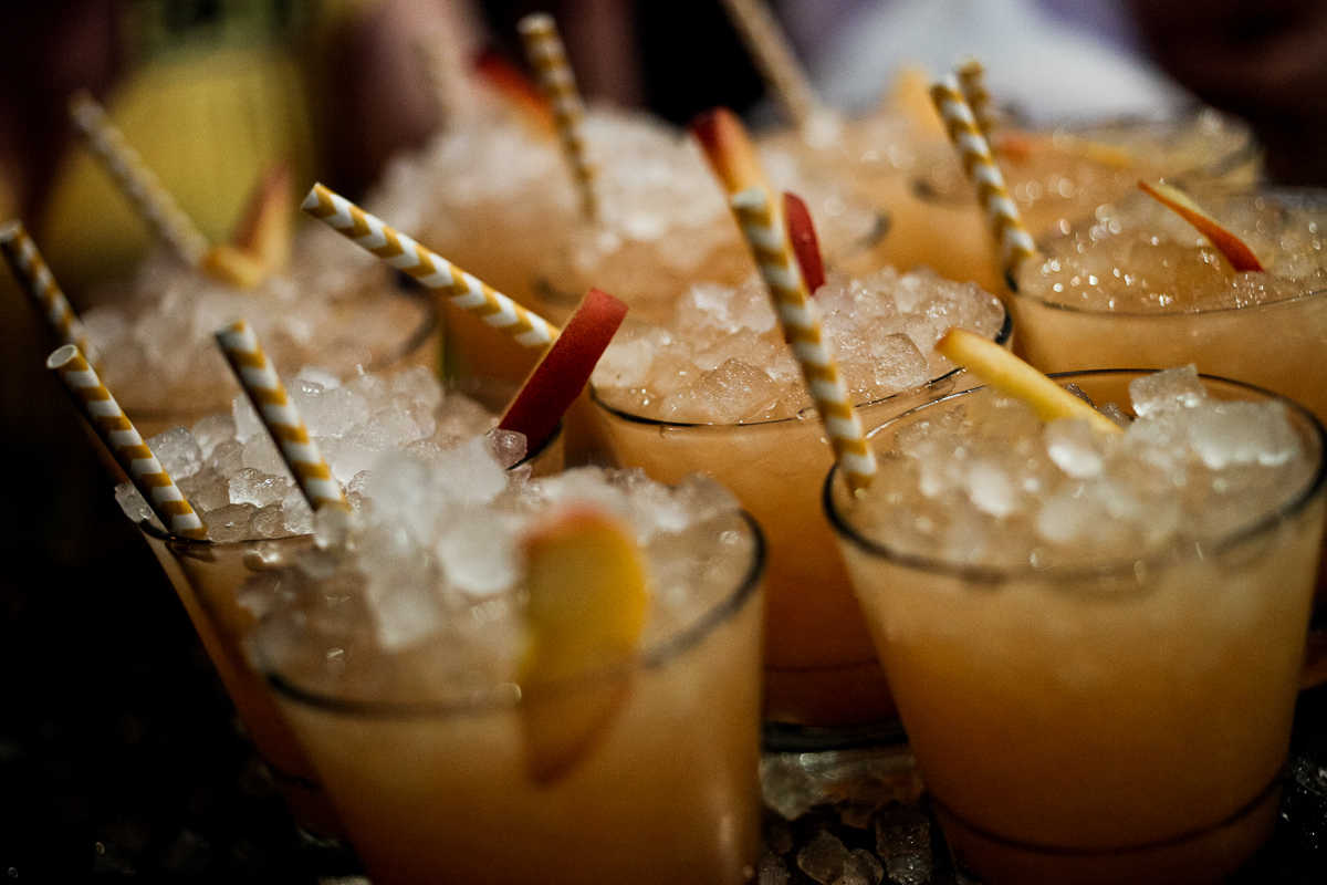 140519_MOTAC_AGAVE_462.jpg