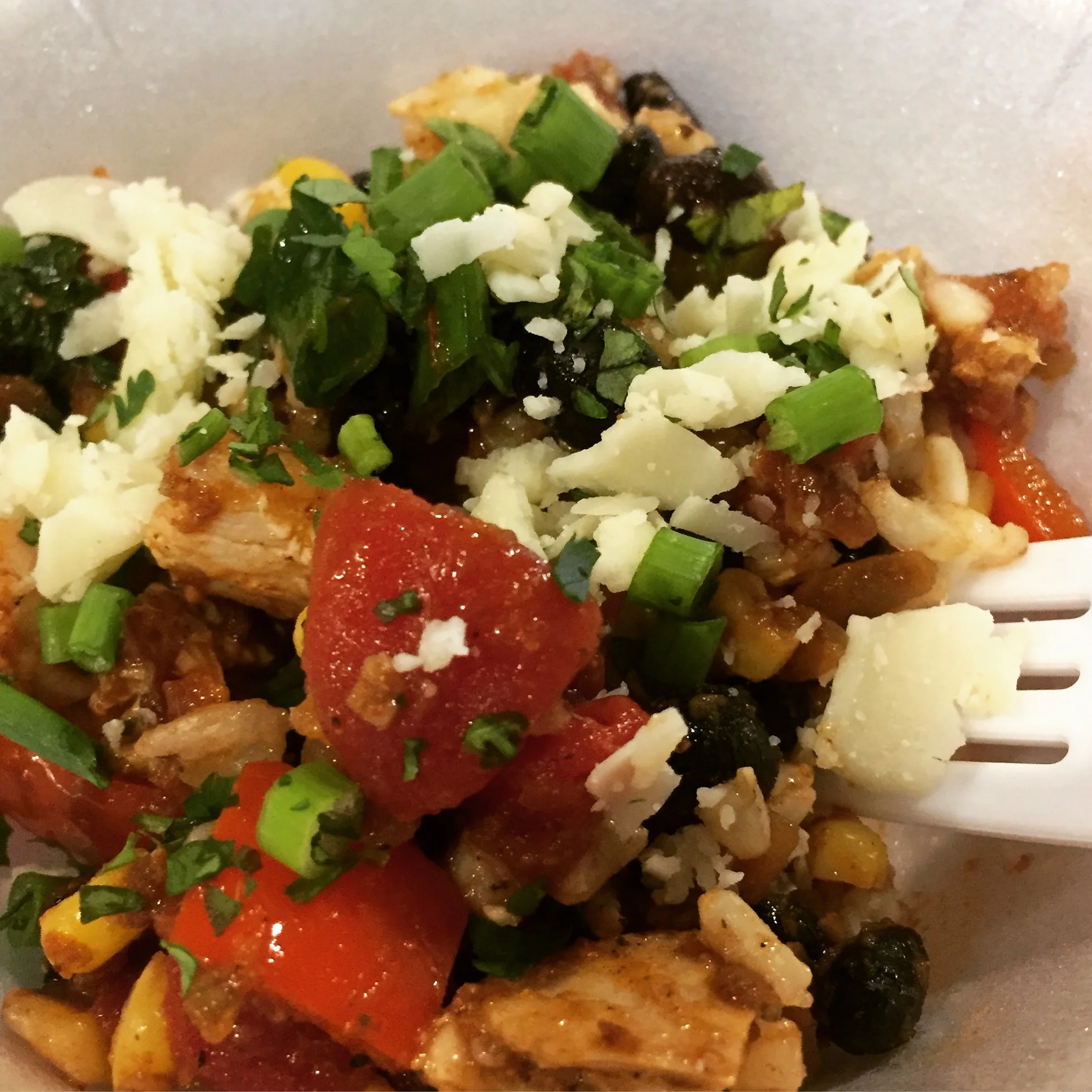 Cook Fit | Eat Fit: Fad Diets