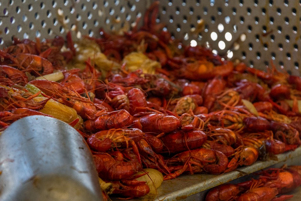 The Season of Festivals