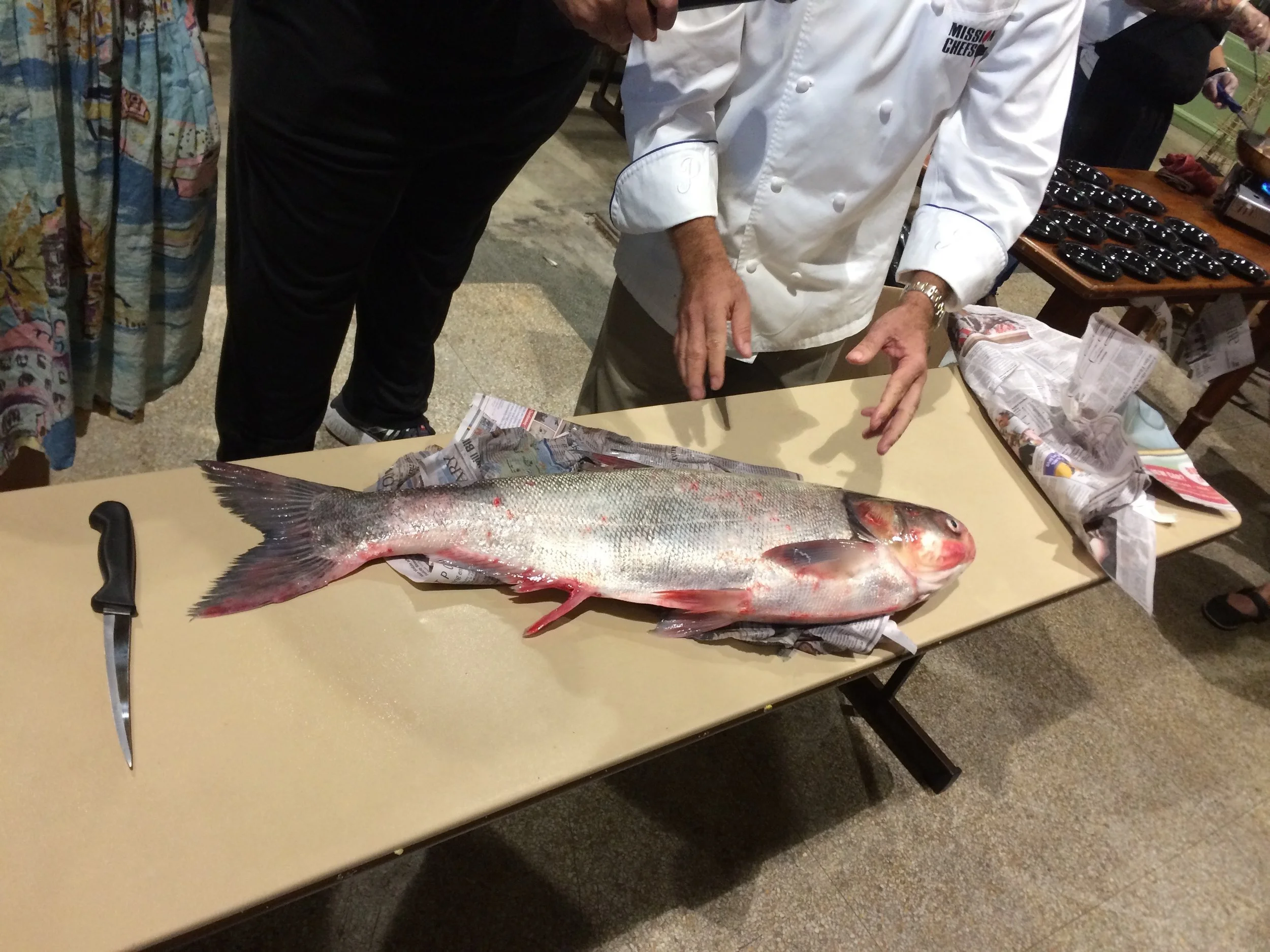Best of Bycatch