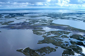 Quick Bites:  The Science of Water with Eliot Sherman