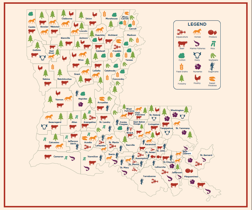 Louisiana's Culinary History