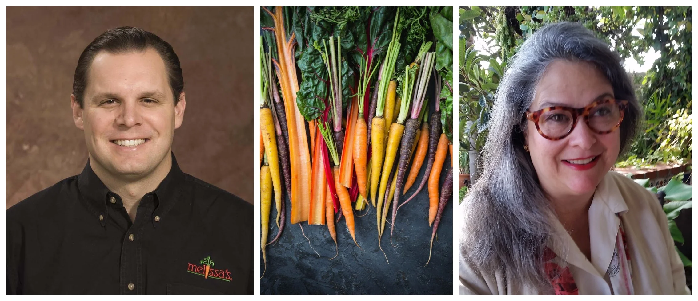Deep Roots & Winter Greens TRIPTYCH.jpg
