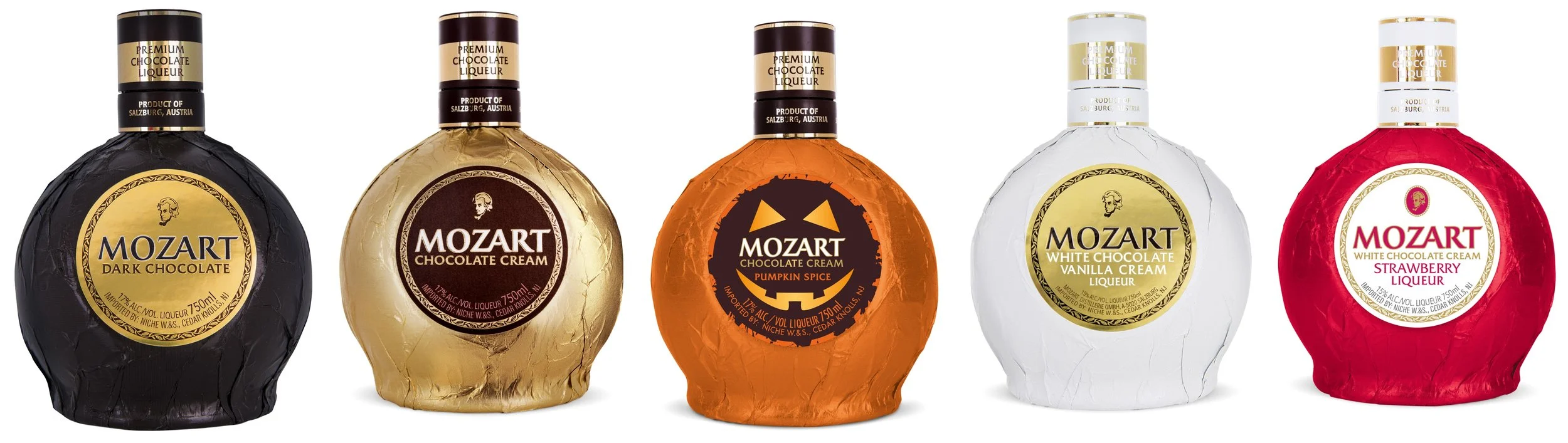 Mozart Family.jpg