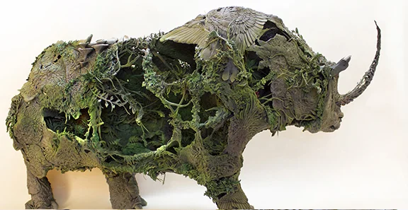 rhinob1.jpg