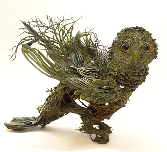 owl1.jpg