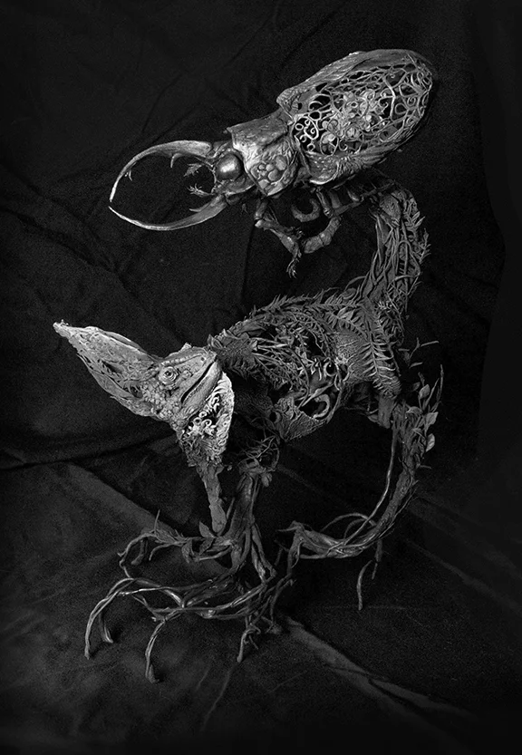 Chameleon6.jpg