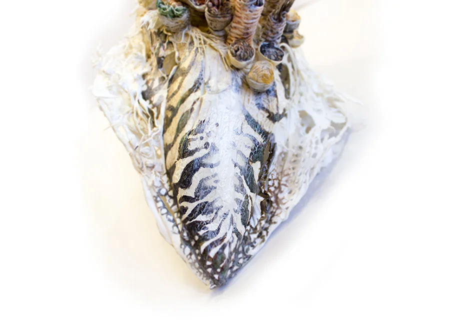 cuttle4.jpg