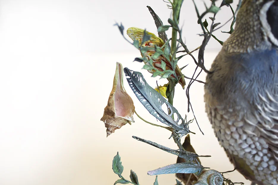 quail4.jpg