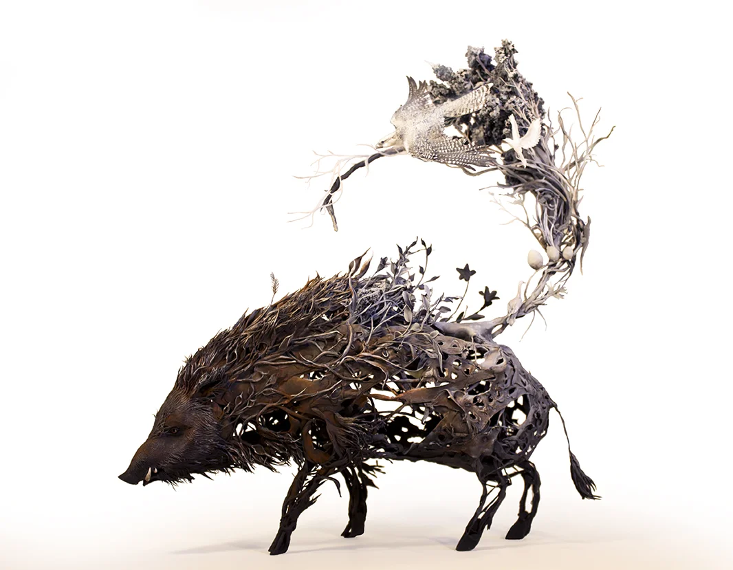 boar1.jpg