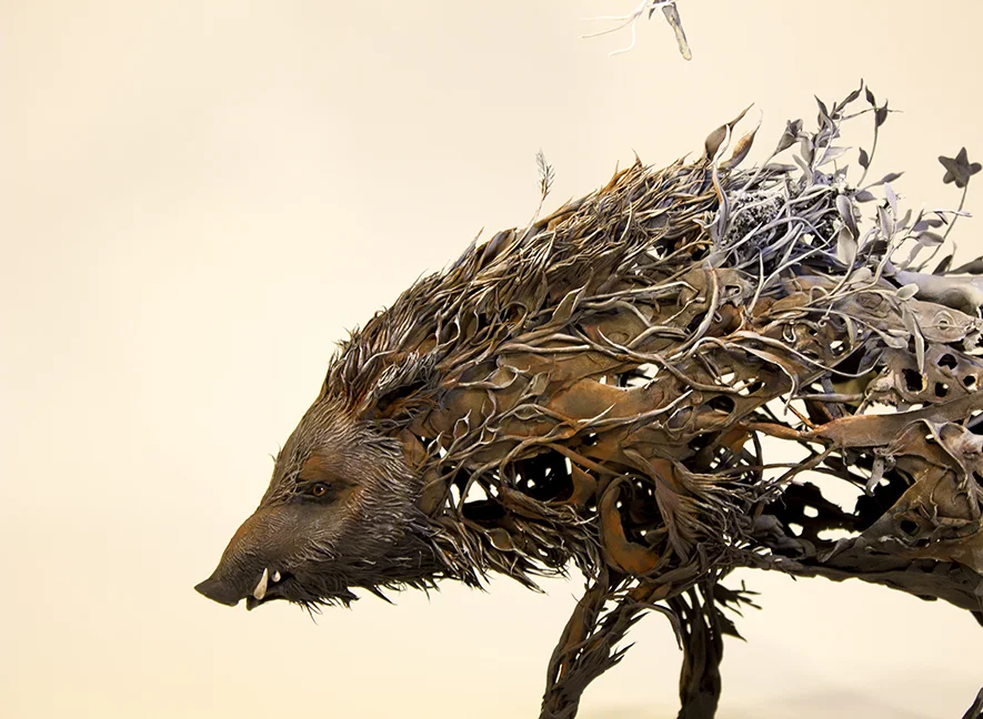 boar2.jpg