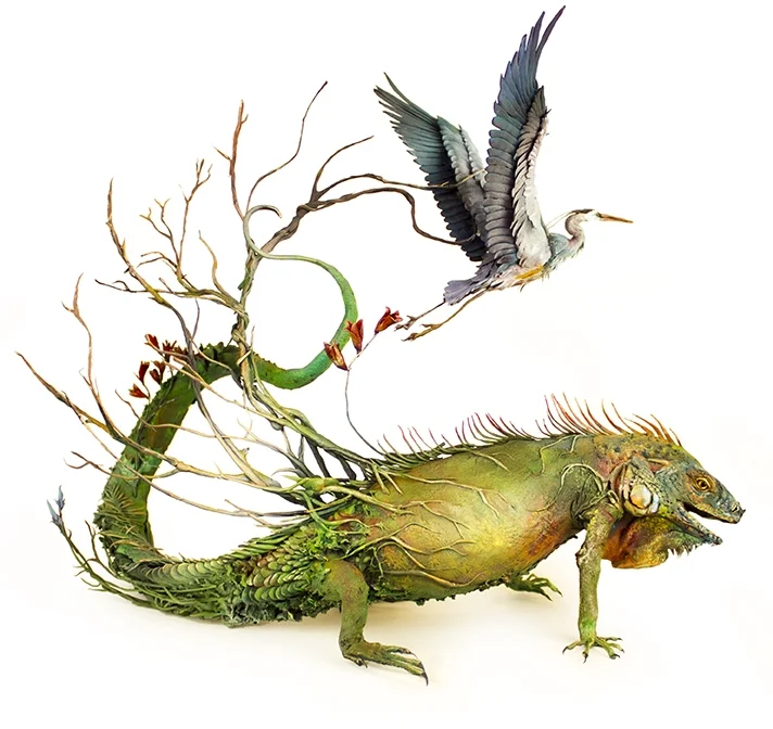 iguana.jpg