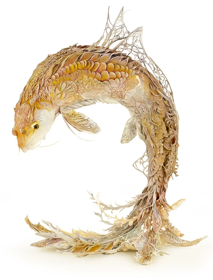 koi.jpg