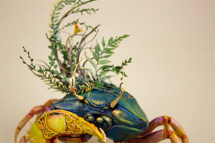 crab3.jpg