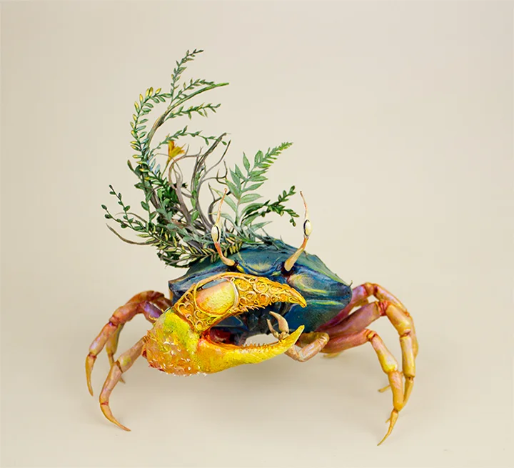crab2.jpg