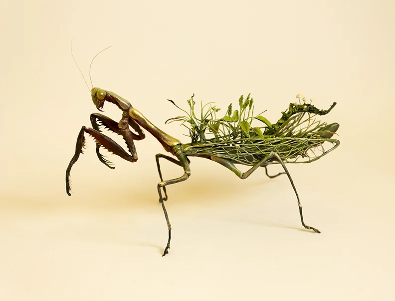 mantis2.jpg