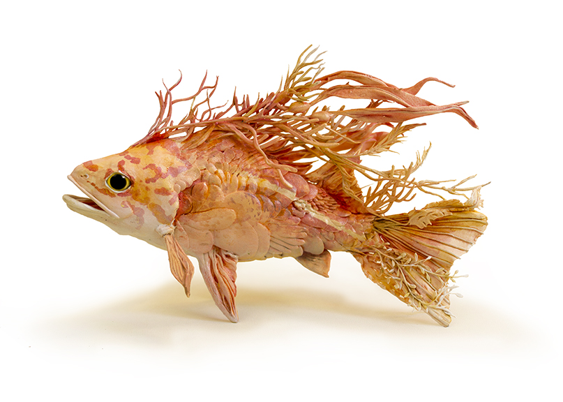 rockfish1.jpg