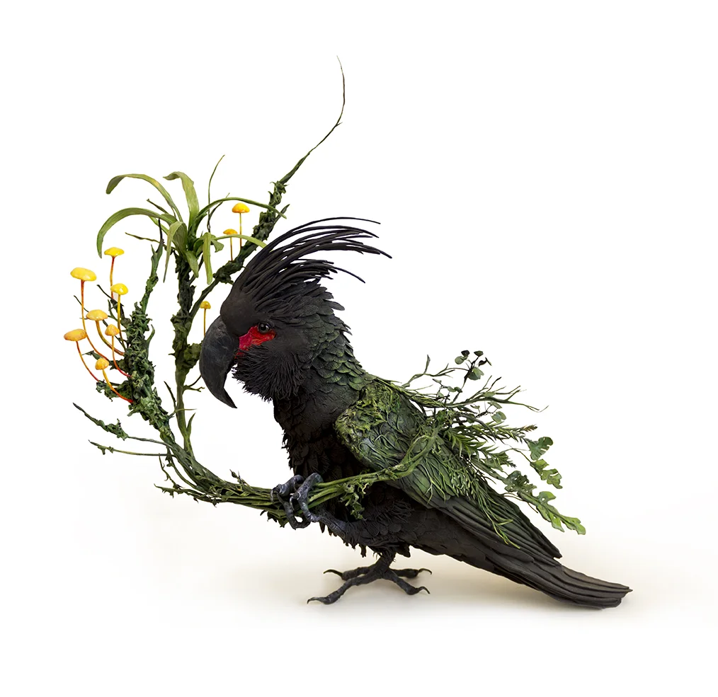 cockatoo1.1.jpg