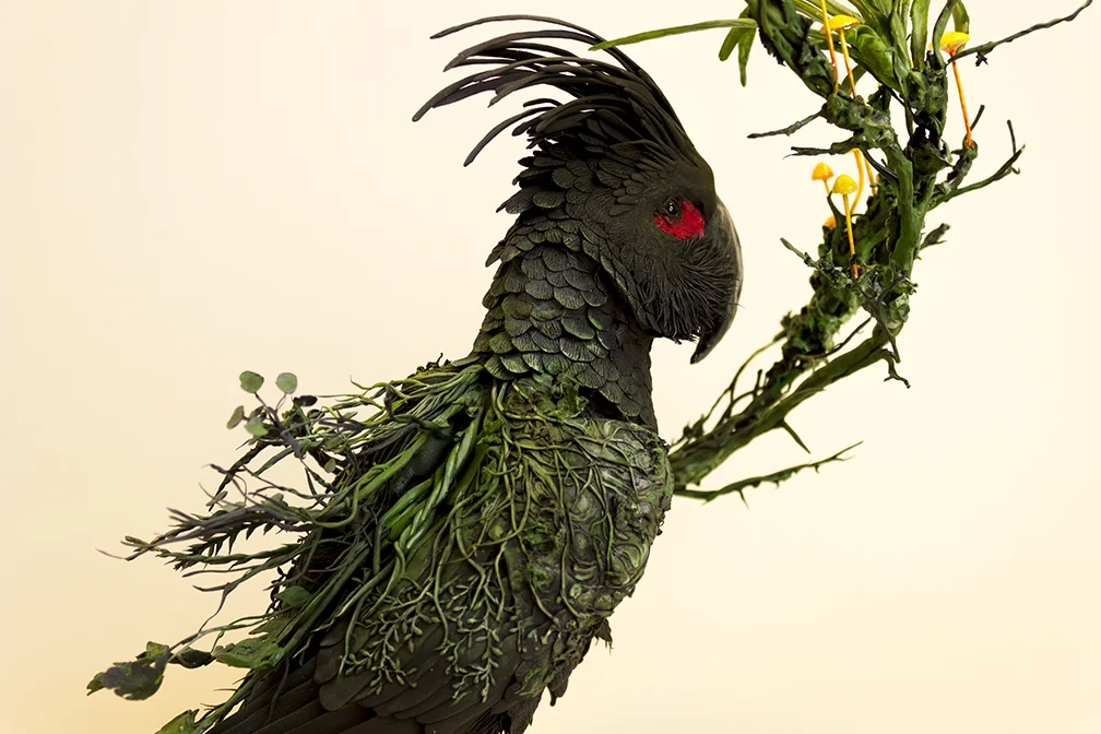 cockatoo3.jpg