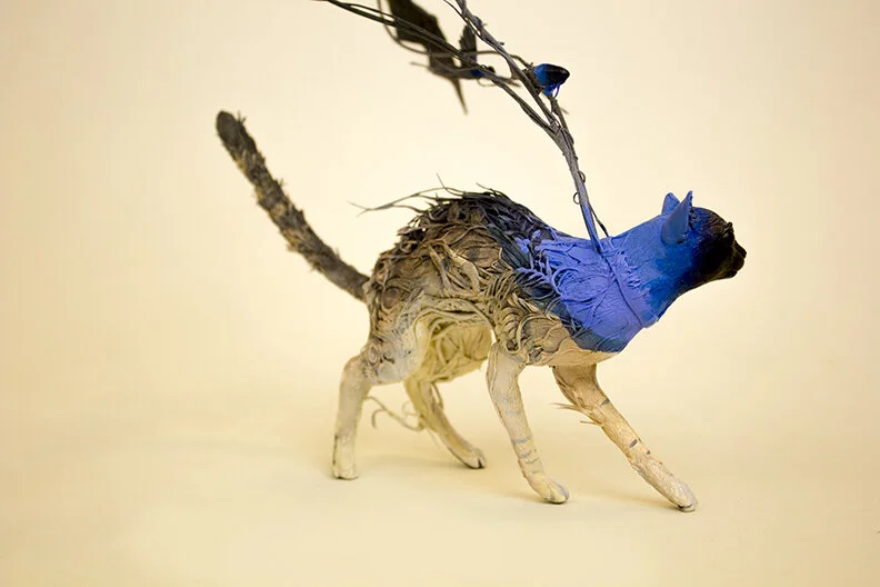 cat3.jpg