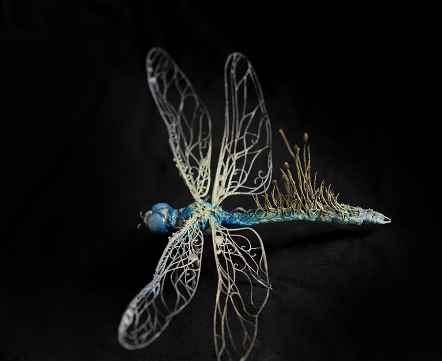 dragonfly4.jpg