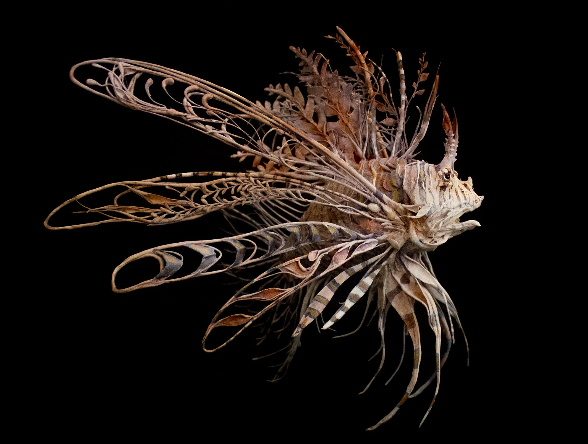 invasive mind - front.jpg